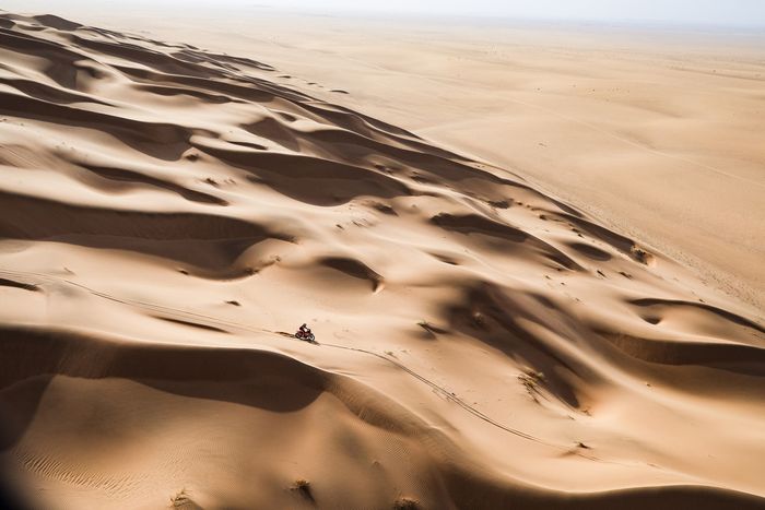 #1 Red Bull KTM Factory Racing KTM: Daniel Sanders