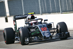 Jenson Button, McLaren MP4-31 avec le Halo