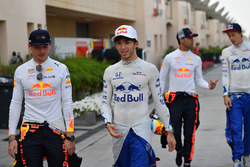 Max Verstappen, Red Bull Racing and Pierre Gasly, Scuderia Toro Rosso