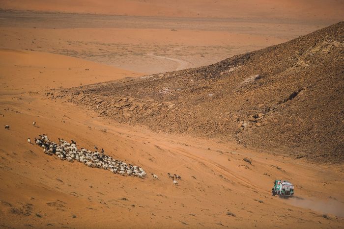 #515 Petronas Team De Rooy Iveco: Hans Stacey, Anton Van Limpt, Randy Smits