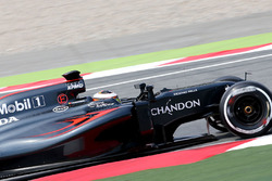 Стофель Вандорн, тестовый и резервный пилот McLaren MP4-31
