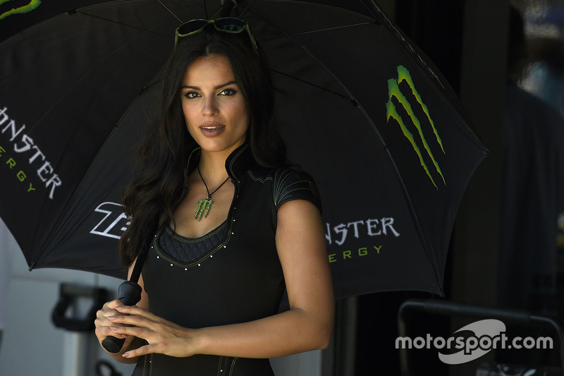 Lovely Monster Energy girl