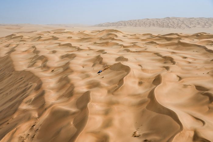 #225 Ford M-Sport Ford: Carlos Sainz Sr, Lucas Cruz