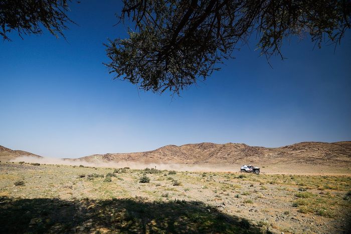 #217 X-raid Mini JCW Team Mini John Cooper Works Rally Plus: Krzysztof Hołowczyc, Łukasz Kurzeja