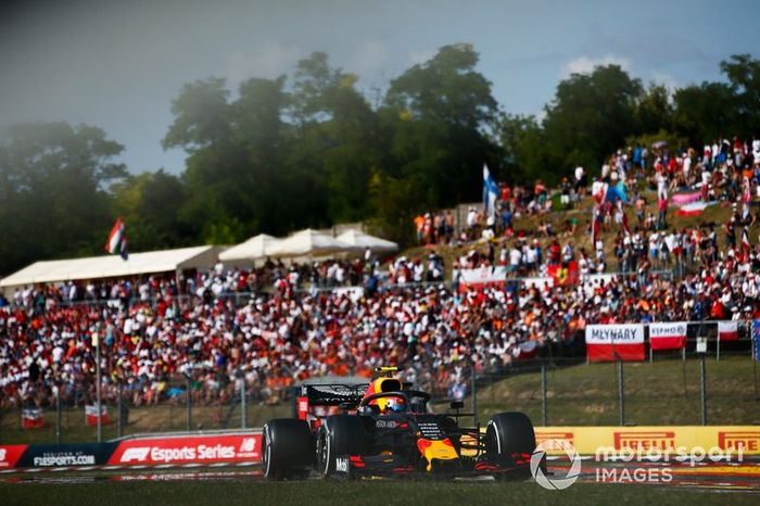 Pierre Gasly, Red Bull Racing RB15