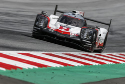 Mark Webber, Porsche 919