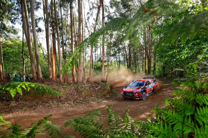 Thierry Neuville, Martijn Wydaeghe, Hyundai Motorsport Hyundai i20 Coupe WRC