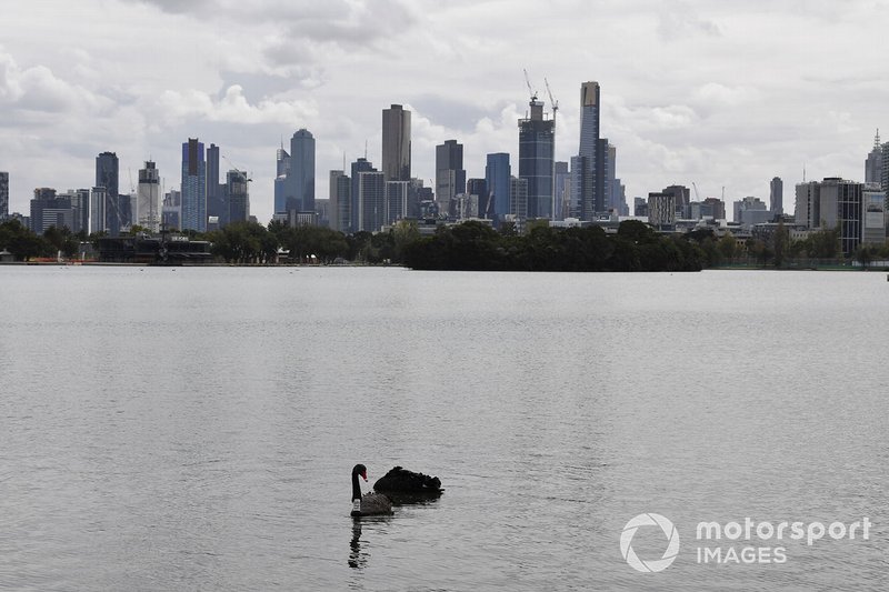 Birds in the Albert Park lake, in front of the Melbourne skyline