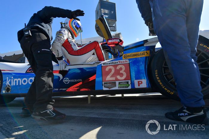 Fernando Alonso, United Autosports