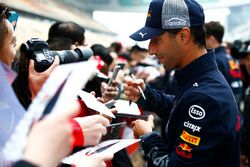Daniel Ricciardo, Red Bull Racing