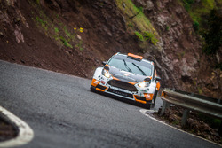 Алексей Лукьянюк и Алексей Арнаутов, Ford Fiesta R5