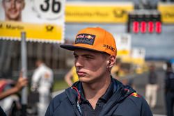 Max Verstappen, F1, Red Bull Racing