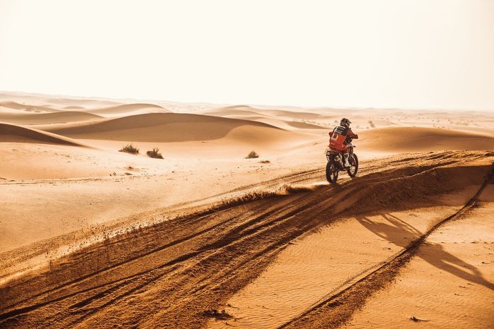 #88 Monster Energy Honda Team 2022: Joan Barreda Bort