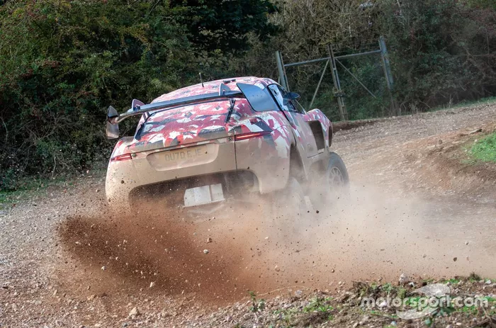 Sebastien Loeb, Nani Roma, BRX