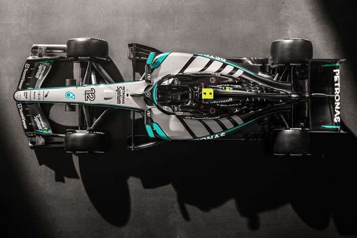 Mercedes W17 livery