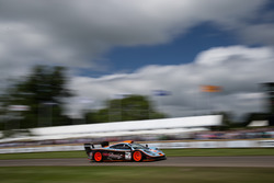 Lionel Robert im McLaren F1 GTR