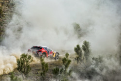 #104 Peugeot: Cyril Despres, David Castera
