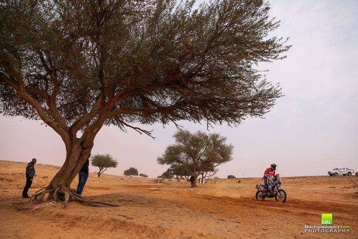 #114 Eladio Carbonell Mendez