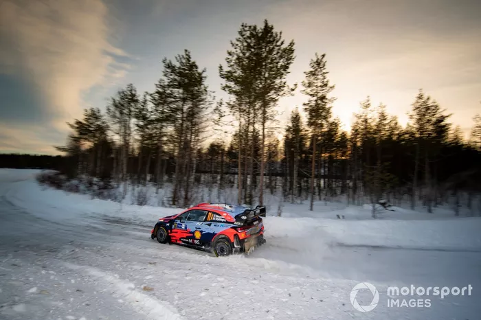 Thierry Neuville, Martijn Wydaeghe, Hyundai Motorsport Hyundai i20 Coupe WRC