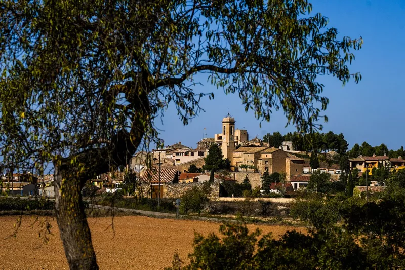 L'atmosphère du rallye