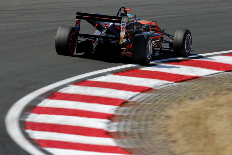 Софія Фльорш, Van Amersfoort Racing Dallara F317 - Mercedes-Benz
