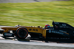 Robert Kubica, Renault F1 Team