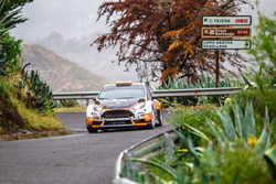 Алексей Лукьянюк и Алексей Арнаутов, Ford Fiesta R5