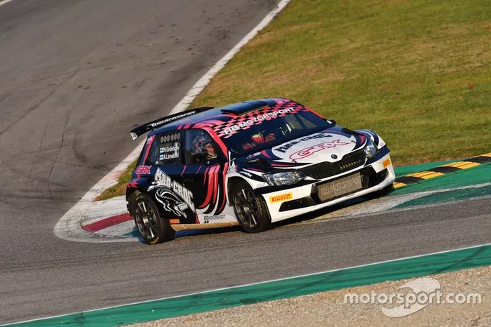 Niclas Gronholm, Antti Linnaketo, Skoda Fabia R5
