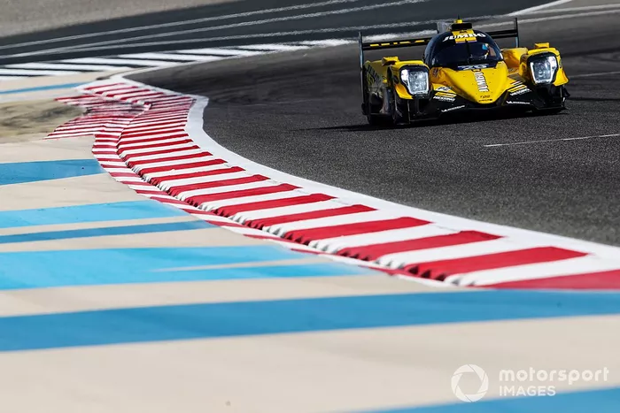 #29 Racing Team Nederland Dallara P217: Frits Van Eerd, Giedo Van Der Garde, Nick de Vries