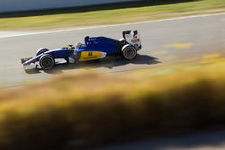 Marcus Ericsson, Sauber C35