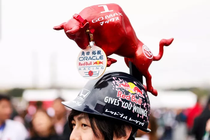 Fans at the circuit