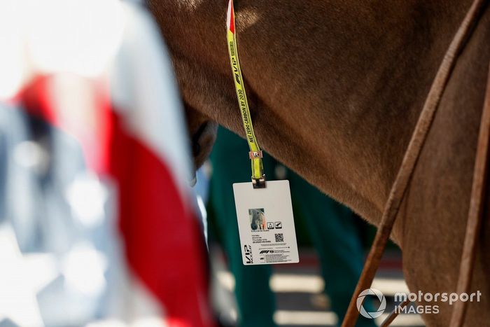 Acreditación del caballo