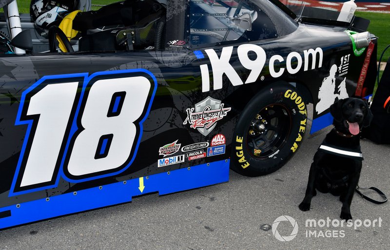 Kyle Busch, Joe Gibbs Racing, Toyota Supra Extreme Concepts/iK9