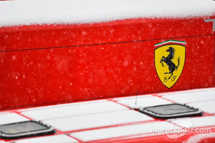 De la neige dans le paddock