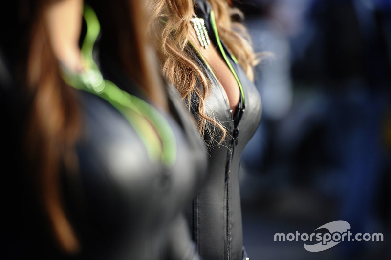 Деталі чарівних дівчат Monster energy