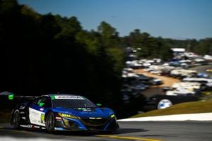 #66 Gradient Racing, Acura NSX GT3, GTD: Kyffin Simpson, Till Bechtolsheimer, Mario Farnbacher