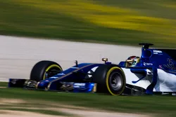 Pascal Wehrlein, Sauber C36
