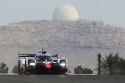 Toyota TS050 Hybrid №8: Фернандо Алонсо, Toyota Gazoo Racing