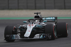 Pole sitter Lewis Hamilton, Mercedes-AMG F1 W09 waves to the crowd