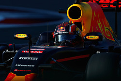 Даниил Квят, Red Bull Racing RB12