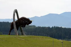 Vista del Red Bull Ring