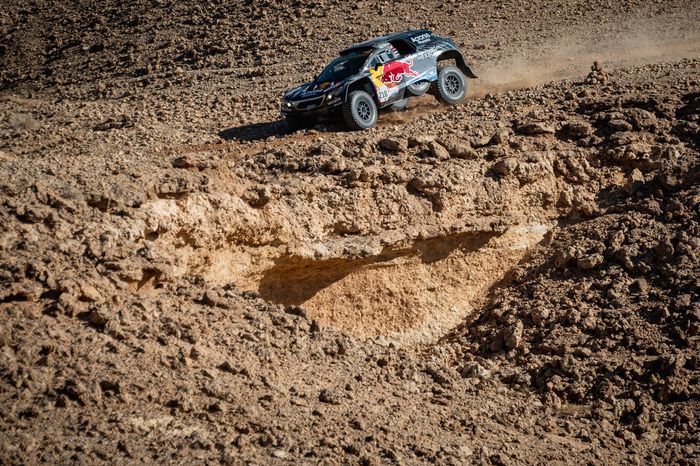 #210 Karman / Hexaom Peugeot: Cyril Despres, Taye Perry