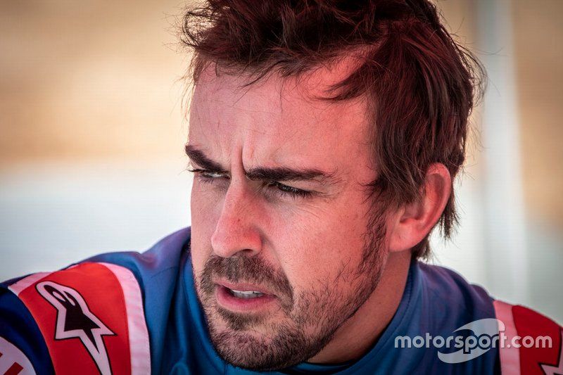 301# Toyota Gazoo Racing Toyota Hilux: Fernando Alonso
