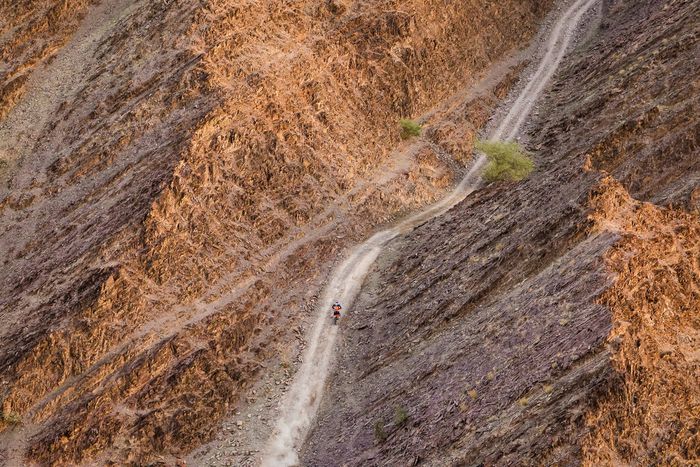 #73 Red Bull KTM Factory Racing KTM: Edgar Canet