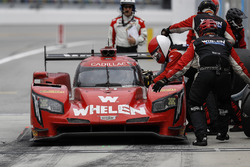#31 Action Express Racing Cadillac DPi, P: Eric Curran, Mike Conway, Stuart Middleton, Felipe Nasr,