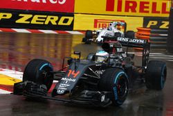 Fernando Alonso, McLaren MP4-31