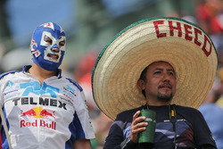 Un fan masqué et un fan de Sergio Perez, Sahara Force India F1