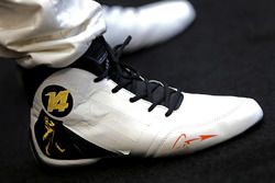 Fernando Alonso, McLaren