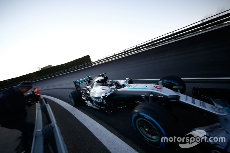 World Champion Nico Rosberg celebrates