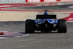 Marcus Ericsson, Sauber C36